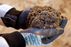 compost